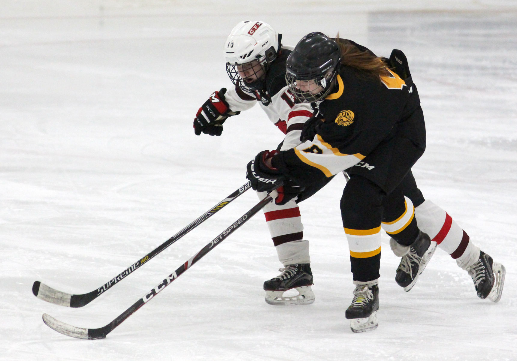 Hayward at Chippewa Falls/Menomonie girls hockey 2-20-20